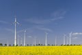 Wind mills with canola field and alley trees