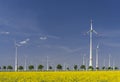 Wind mills with canola field and alley trees