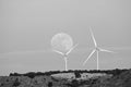 Wind mills catching the moon