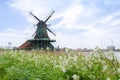 Wind mills with flower in Zaanse Schans Royalty Free Stock Photo