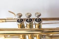 Wind musical instrument brass trumpet with pump screws Royalty Free Stock Photo