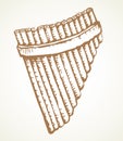 Wind musical instrument Pan Flute. Vector doodle symbol Royalty Free Stock Photo