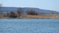 Wind over the lake disturbs the tranquility of the water