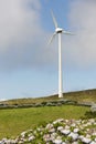 Wind park windmill in Sao Jorge island. Azores. Portugal Royalty Free Stock Photo