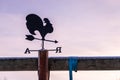 weathervane