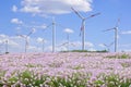 Wind power generators in a field with purple flowers against a blue sky with white clouds. Green energy