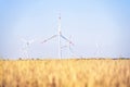 Wind power plant in the golden wheat field Royalty Free Stock Photo