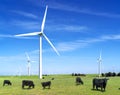 wind power plant and windmill turbine farm in san francisco Royalty Free Stock Photo