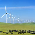 wind power plant and windmill turbine farm in san francisco Royalty Free Stock Photo