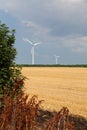 Wind power plants in Dobrudja region Bulgaria summer