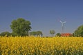 Wind power station with field in Germany Royalty Free Stock Photo