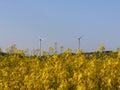 Wind power station in a raps fields. Rotating blades of energy generators. Ecologically clean electricity. Modern technologies for Royalty Free Stock Photo