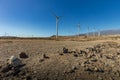 Wind power stations. A row of turbines near the seashore. Wind farm eco field. Eolic park with blue sky in background. Green, Royalty Free Stock Photo