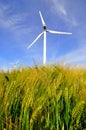 Wind power turbines Royalty Free Stock Photo