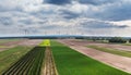 Wind power turbines in Austria near the Lake Neusiedl