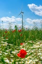 Wind power wheel on a wild flower field with nice blue sky Royalty Free Stock Photo