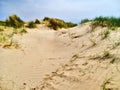 Wind Riven Sand Dunes, Black Rock Sands Royalty Free Stock Photo