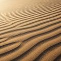 Wind-sculpted sand creates mesmerizing, parallel ripples Royalty Free Stock Photo