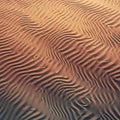 Wind sculpted sand dunes create intricate wavy patterns across a desert Royalty Free Stock Photo