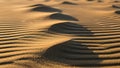 Wind-sculpted sand dunes create a mesmerizing pattern of ripp Royalty Free Stock Photo