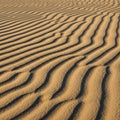 Is a result of consistent wind action shaping the dunes over Royalty Free Stock Photo