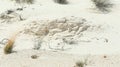 Wind sculpted sand layers in a gypsum sand desert