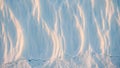 Close-up of Wind-Sculpted Snow and Ice Texture with Soft Sunlit Ridges, Abstract Winter Background Royalty Free Stock Photo