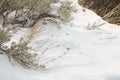 Wind sculpted snow and sagebrush Royalty Free Stock Photo