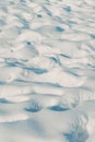 Wind-sculpted snow surface with ripples and shadows texture Royalty Free Stock Photo