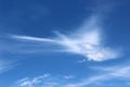 The wind in the sky blows a cumulus cloud in the center of the photo