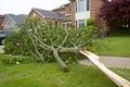 Wind storms and heavy rain cause toppling trees across parts of Ontario, Canada