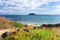 beautiful landscape of a Fuerteventura lagoon in the canary islands