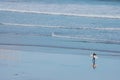 Wind surfer, Cornwall Royalty Free Stock Photo