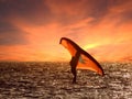 Wind surfer and sunset sky Royalty Free Stock Photo