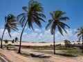 The wind sways the coconut trees on a deserted beach on the coast of Brazil, on a beautiful sunny day, blue sky and white clouds, Royalty Free Stock Photo