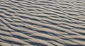 Wind-swept sand forms ripples across a Royalty Free Stock Photo