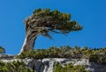 Hiking In Desolation Wilderness Near Lake Tahoe