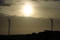 Wind tower turbine power plant at sunset Royalty Free Stock Photo