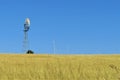 a wind tower and wind turbine in a field of tall grass Royalty Free Stock Photo