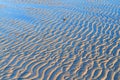 Wind tracks at the beach Royalty Free Stock Photo