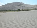 Wind Tracks in Sand Royalty Free Stock Photo