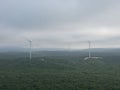 Wind turbine in canola fields in the evening Royalty Free Stock Photo