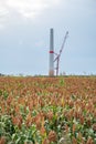 Wind turbine construction site with crane with agricultural field in front during cloudy day, vertical shot Royalty Free Stock Photo