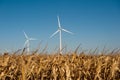 Wind turbine and corn field Royalty Free Stock Photo