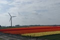 wind turbine dutch landscape Royalty Free Stock Photo