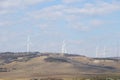 Wind turbine, electrical windmill turbine, ecological resource