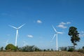 Wind turbine farm in the field - a renewable energy source Royalty Free Stock Photo