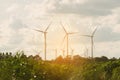 Wind turbine farm on hillside Royalty Free Stock Photo