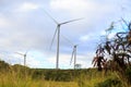 Wind Turbine Farm Oahu Hawaii
