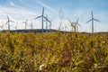 Wind turbine farm Royalty Free Stock Photo